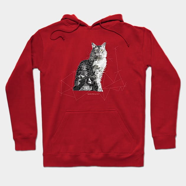 Geometric Maine Coon Hoodie by newmindflow